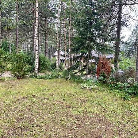 Smestaj Nedic Karaula