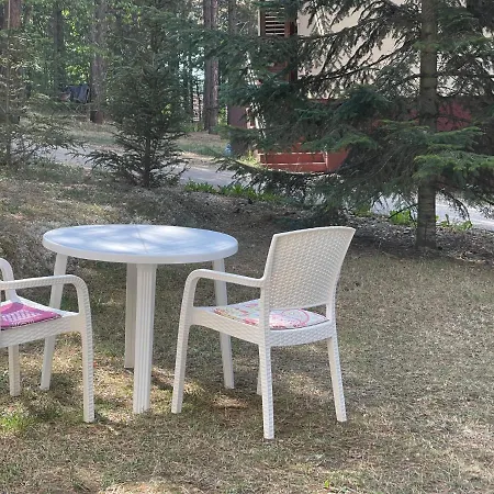 Apartament Smestaj Nedic Karaula *