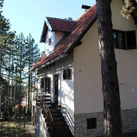 Smestaj Nedic Karaula Apartment *
