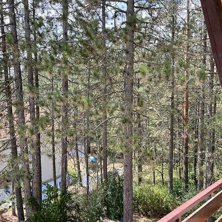 Apartment Smestaj Nedic Karaula *