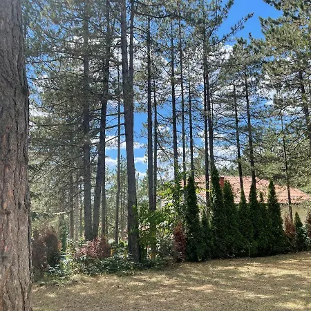 Smestaj Nedic Karaula * 즐라티보