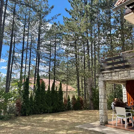 Smestaj Nedic Karaula 아파트 즐라티보