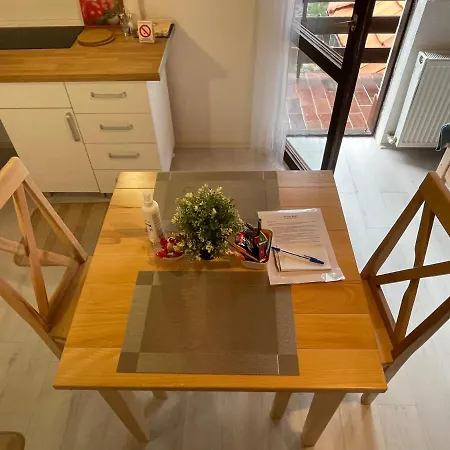 Smestaj Nedic Karaula Apartment