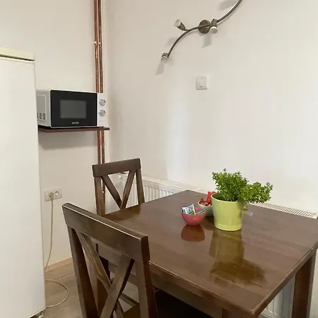 Smestaj Nedic Karaula Apartment