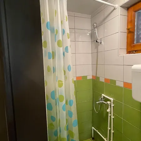 Apartment Smestaj Nedic Karaula *