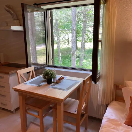 Apartment Smestaj Nedic Karaula *