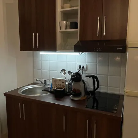 Apartment Smestaj Nedic Karaula *