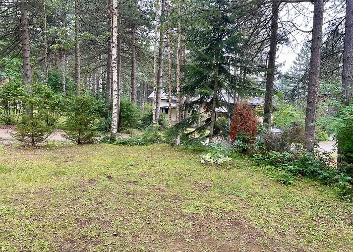 Smestaj Nedic Karaula