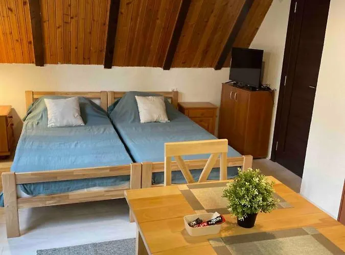 Smestaj Nedic Karaula *