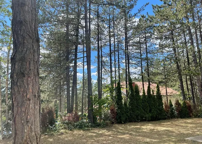 Smestaj Nedic Karaula * 즐라티보