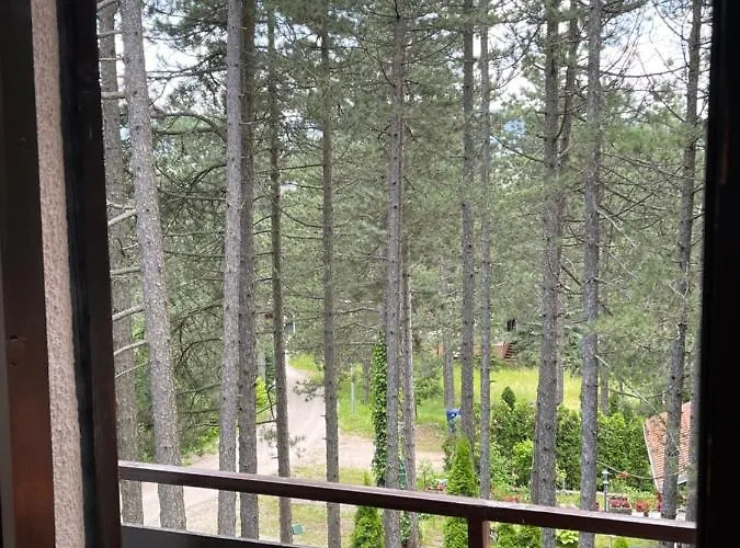 Smestaj Nedic Karaula 아파트