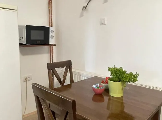 Smestaj Nedic Karaula 아파트