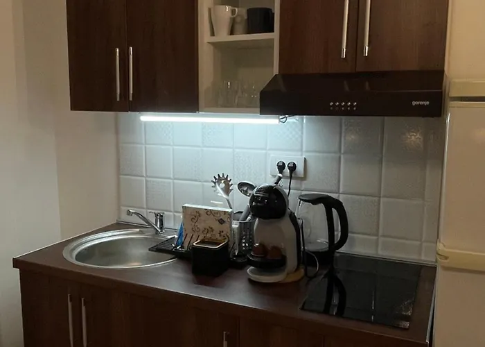 아파트 Smestaj Nedic Karaula *